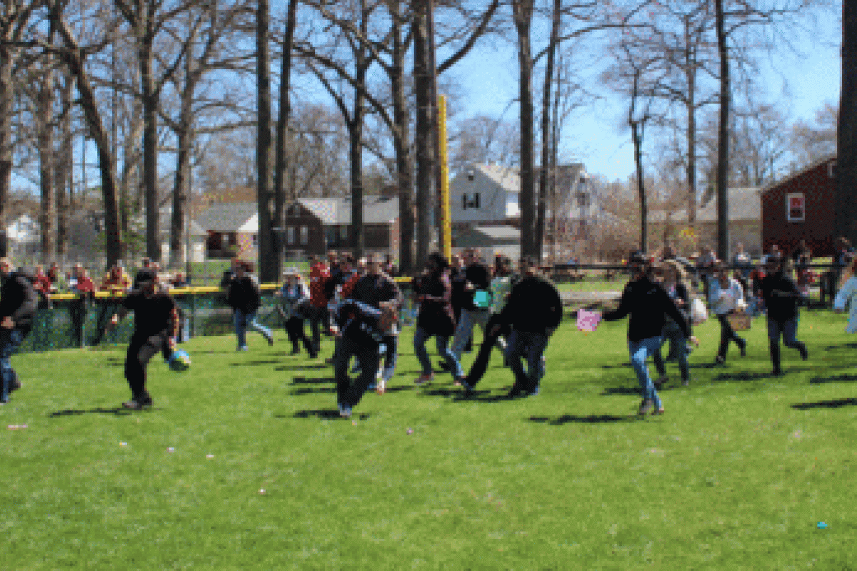 Adults ‘searching’ for eggs.