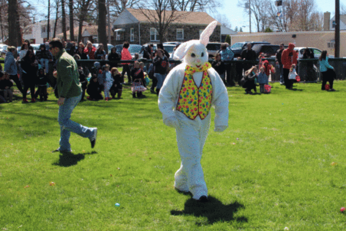 Bunny
